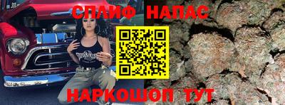 прущие крисы Будённовск